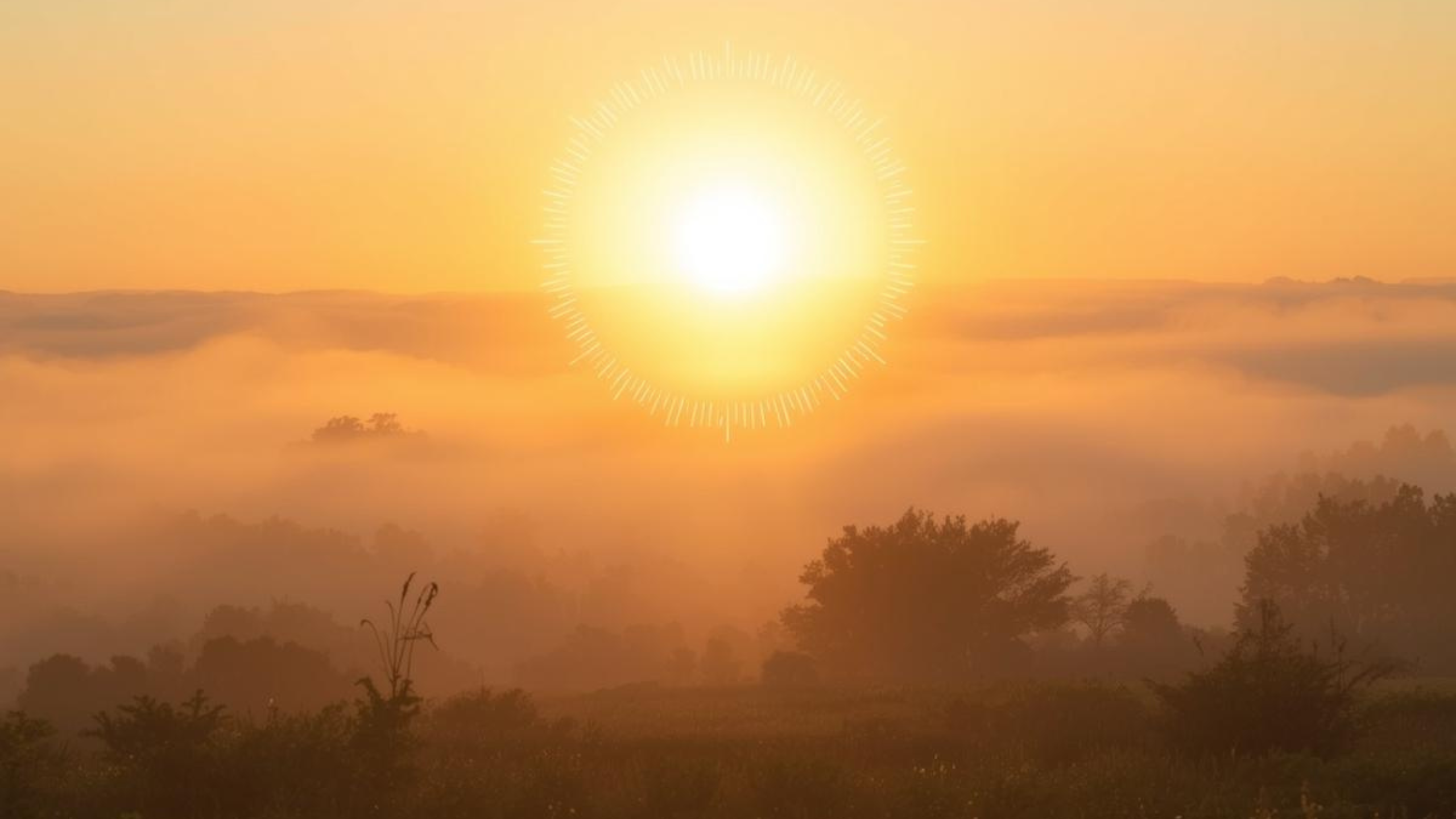 19 जनवरी से शुक्ल पक्ष का प्रारंभ